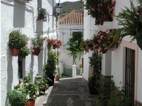"El Porton" Apartment Borge Bagian luar foto